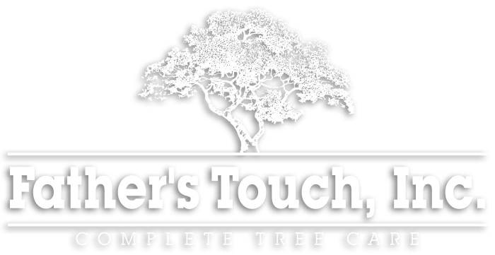 Father's Touch, Inc.
